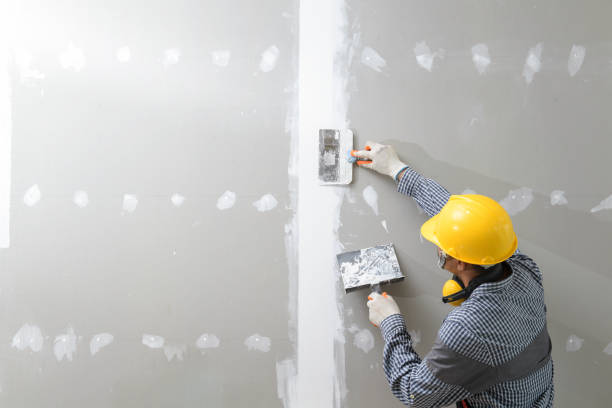 Best Attic Mold Removal  in Oakwood, GA