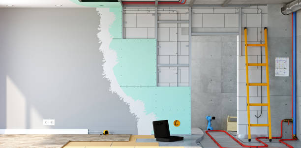 Best Commercial Mold Inspection  in Oakwood, GA